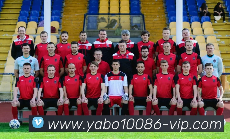未来规划